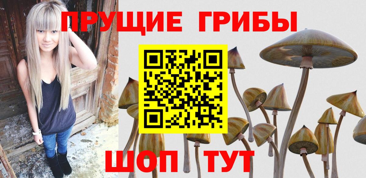 Псилоцибиновые грибы ЛСД  Вход с VPN  Шали  Галлюциногенные грибы Magic Shrooms 